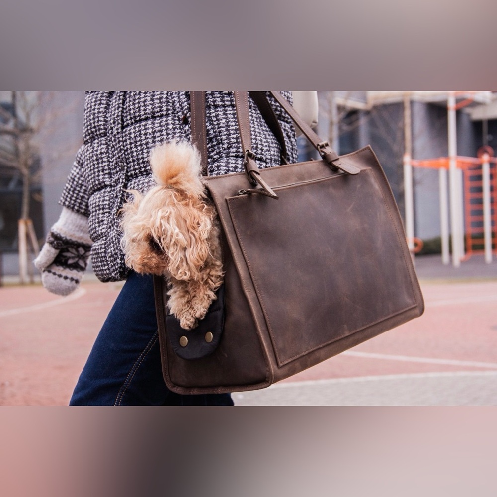 L: 8-10 kg (17-22 pound) dog: 42 cm (16.5") x 19 cm (7.5") x 30 cm (11.8")
